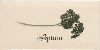 Декор Ape Biselado Crema Apium 20x10
