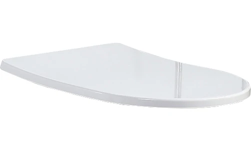 Сиденье для унитаза BelBagno Flay-R BB2013SC