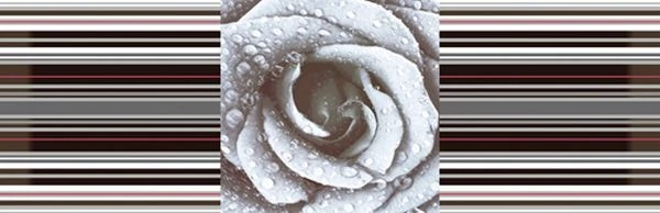 Декор Absolut Keramika Decor Rose 02 15x45