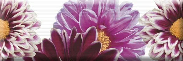 Плитка Absolut Keramika Decor Flowers 02 15x45