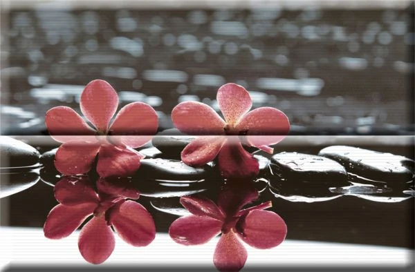 Панно Absolut Keramika Composicion Wellness 02 Red 30x45 комплект