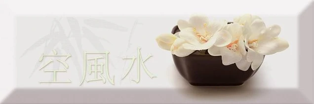 Декор Absolut Keramika Decor Japan Tea 04 A 10x30