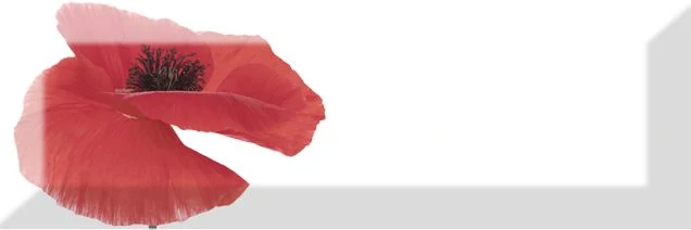 Декор Absolut Keramika Decor Poppy 01 10x30