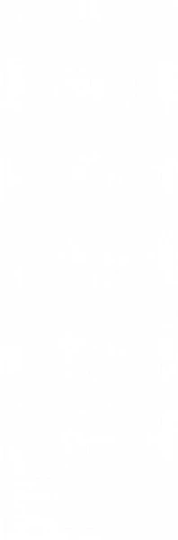 Плитка Delacora WT15ROL00R Royal White 24.6x74