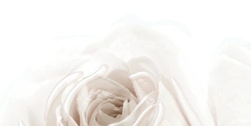 Декор BELLEZA 10-05-11-350-1 Нежность бежевый А 25х50