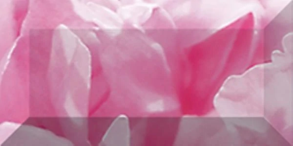 Бордюр Laparet рельефный Peony br1020D281-1 20х10