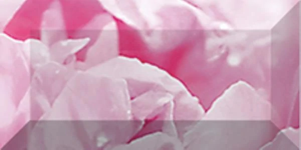 Бордюр Laparet рельефный Peony br1020D281-2 20х10