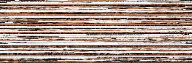 Декор Alma Ceramica DWU12FLN40R Florian 24.6x74