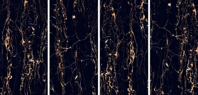 Керамогранит Art Ceramic Portoro Gold High gloss 60x120
