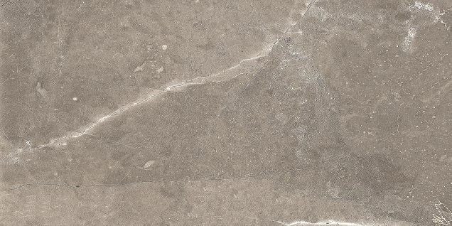 GT122VG Настенная плитка Силуэт / Siluet Кор. 25x50 _ 1<,25