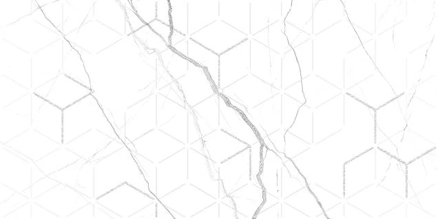 GT124VG Декор кер. Силуэт / Siluet Бел. 25x50 _ 1