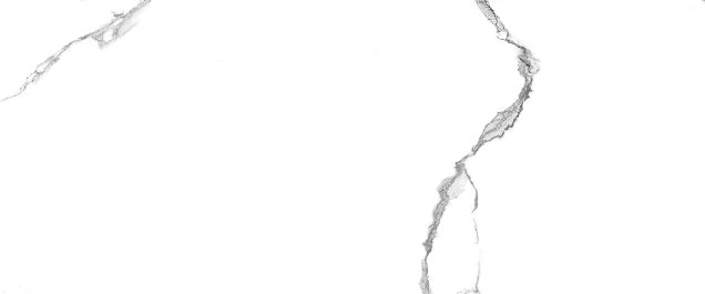 10100001338 Настенная плитка Арто / Arto Бел. 25x60 01_ 1/,6