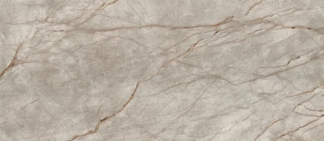 Керамогранит Atlas Concorde 600180000015 Empire Silver Root Lapp 120x278