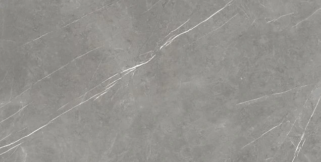 Керамогранит Atlas Concorde 610015000665 Forte dei Marmi Elegant Grey Lapp 80x160