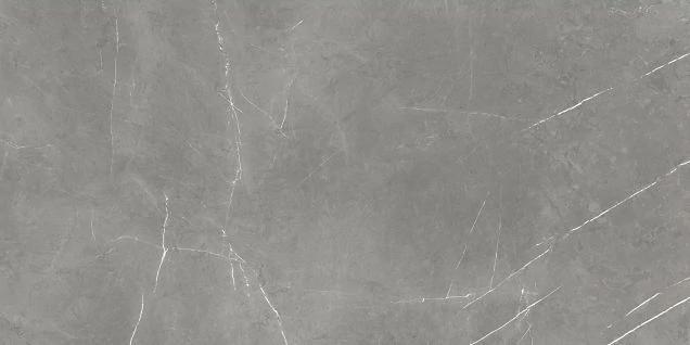 Керамогранит Atlas Concorde 610015000657 Forte dei Marmi Elegant Grey Rett Cer 60x120