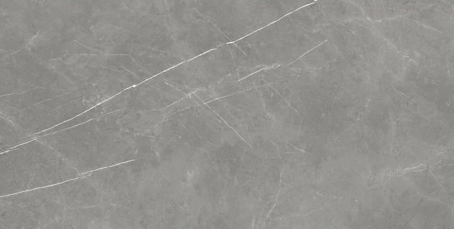 Керамогранит Atlas Concorde 610010002710 Forte dei Marmi Elegant Grey Rett 80x160
