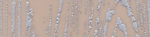Бордюр Kerama Marazzi AD/A269/TU0031L Скиато беж лаппатированный 20х4,9