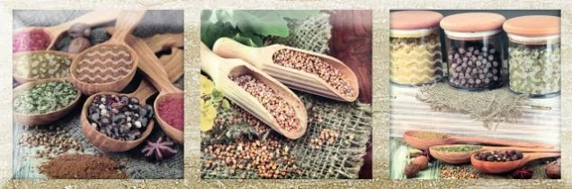 Декор Monopole Exquisit B Brillo 10x30