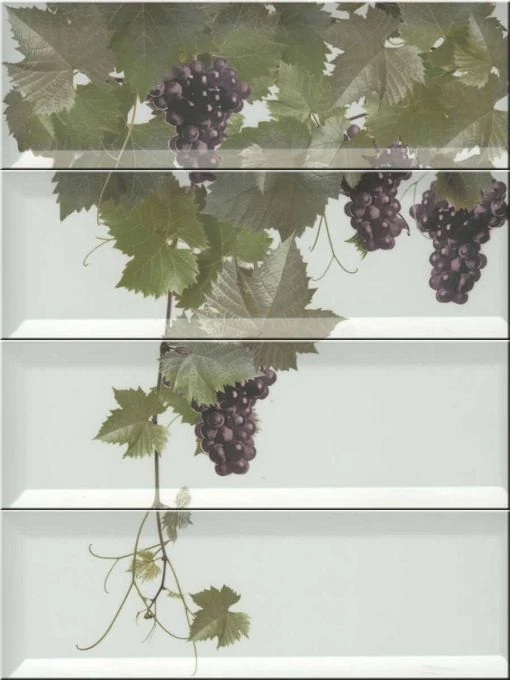 Панно Monopole Panno Tempranillo Blanco 40x30