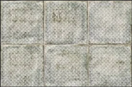 Декор Mainzu PT02480 Livorno Decor Sedan 20x20