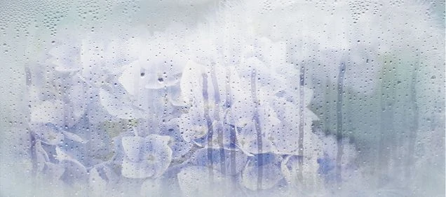 Декор PiezaROSA 131614 Rosa Деко 20x45