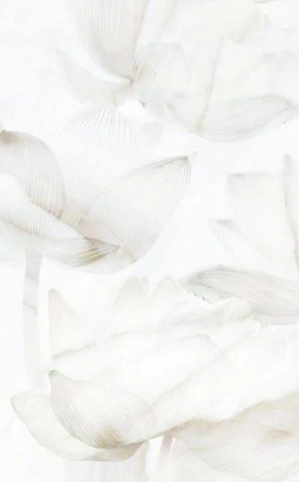 Декор PiezaROSA 125701 Bianco 25x40
