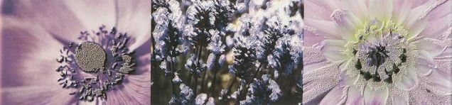 Бордюр Tubadzin Maxima Violet 2 44,8x10