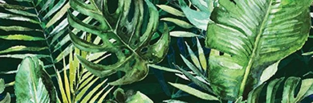 Декор Ceramica Konskie Braga Tropic C Rect 25x75