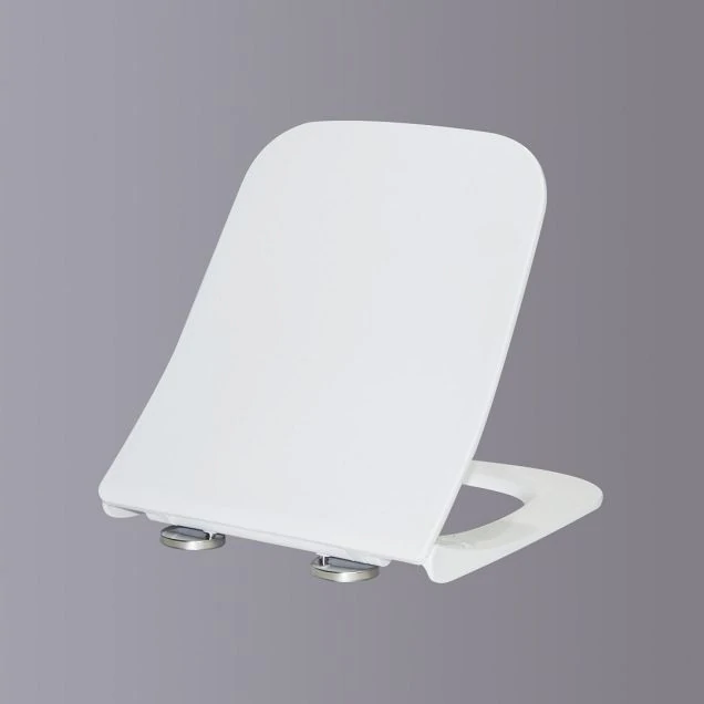 Сиденье для унитаза Cerutti SPA Nivolet Aria PP CT9126