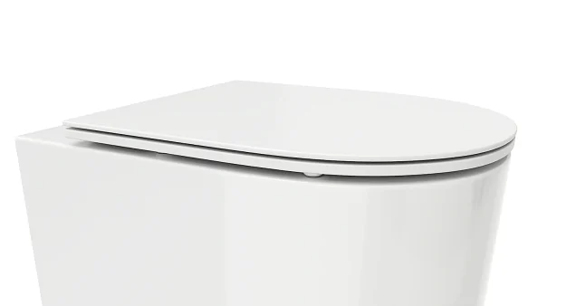 Сиденье для унитаза Cerutti SPA Tanaro Aria CT9300