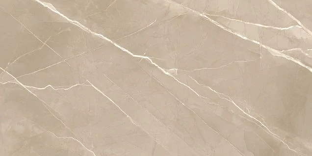 Керамогранит NewTrend Essential Marron 60120ESE21P 60x120