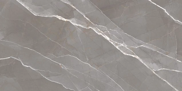 Керамогранит NewTrend Essential Graphite 60120ESE25P 60x120