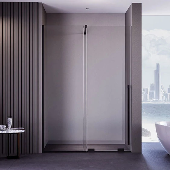 Душевая дверь Veconi Premium Trento PTDW-50B, 1400x2000, черный матовый, стекло прозрачное