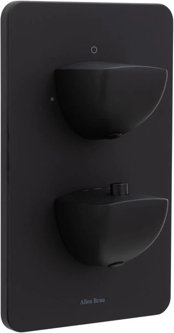 Смеситель для ванны Allen Brau Infinity 5.21216-31 (с внутренней частью, 2 выхода) черный матовый