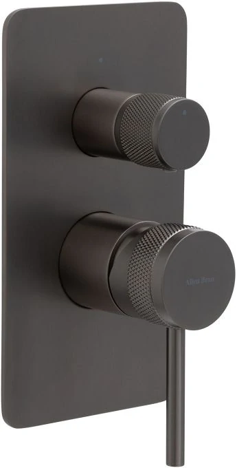 Смеситель для ванны Allen Brau Priority 5.31011-MG (с внутренней частью, 2 выхода) графит браш