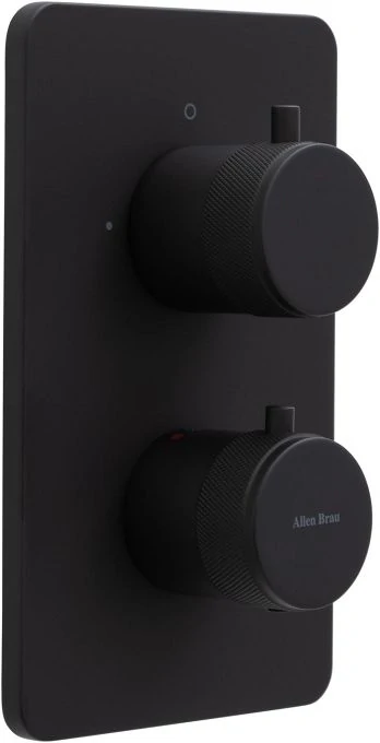 Смеситель для ванны Allen Brau Priority 5.31213-31 (с внутренней частью, 2 выхода) черный матовый