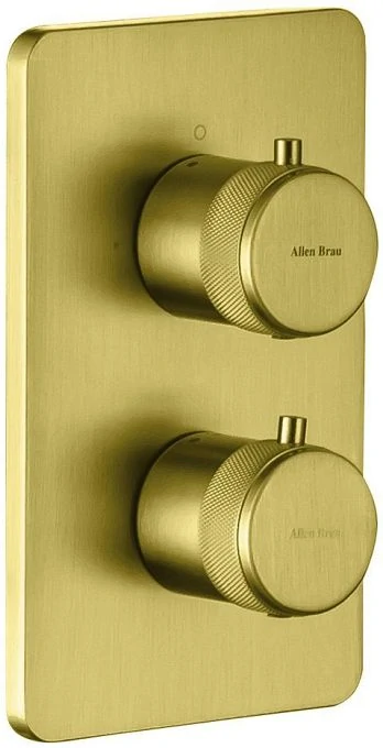 Смеситель для ванны Allen Brau Priority 5.31213-GB (с внутренней частью, 2 выхода) золото