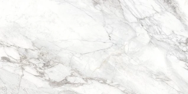 Керамогранит Delacora Bahamas Carrara D120242M 60x120