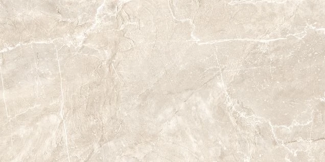 Керамогранит NewTrend Terra Beige 60120TER11P 60x120