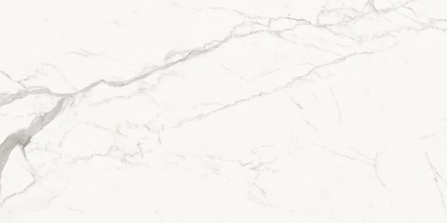 Керамогранит Delacora Porfido Carrara 60120PFC15M 60x120