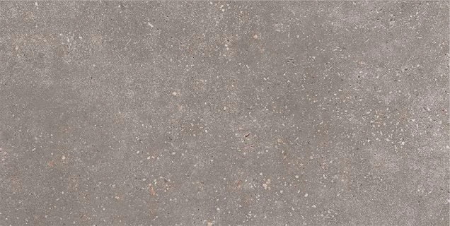 GT184VG Керамогранит Коралл / Coral Rock Темно-серый 30x60 _ 1\58,32