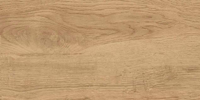 GT220VG Керамогранит Флорида / Florida Беж. 30x60  1\58,32