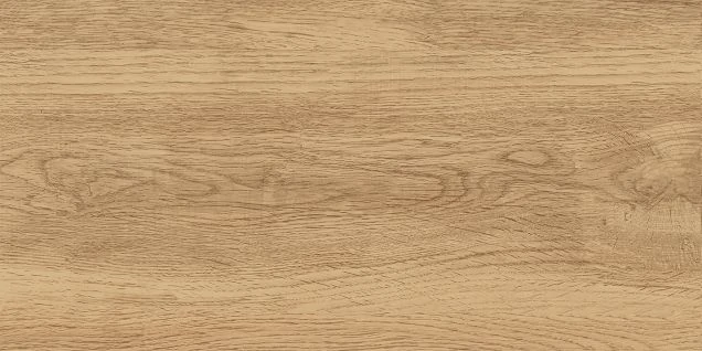 GT220VG Керамогранит Флорида / Florida Беж. 30x60  18,32
