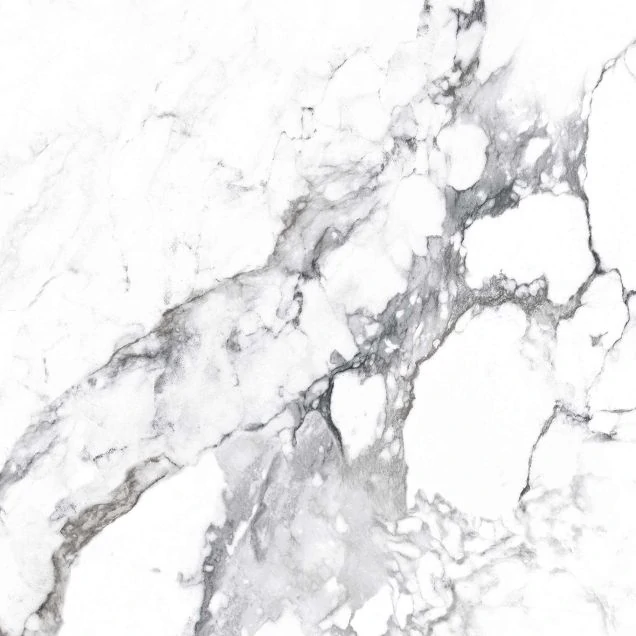 Керамогранит Arcadia Ceramica Borghini Silver 60х60 CR