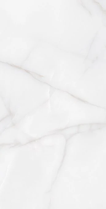 Керамогранит Arcadia Ceramica RT7012-A Feather Onyx 60x120 RT