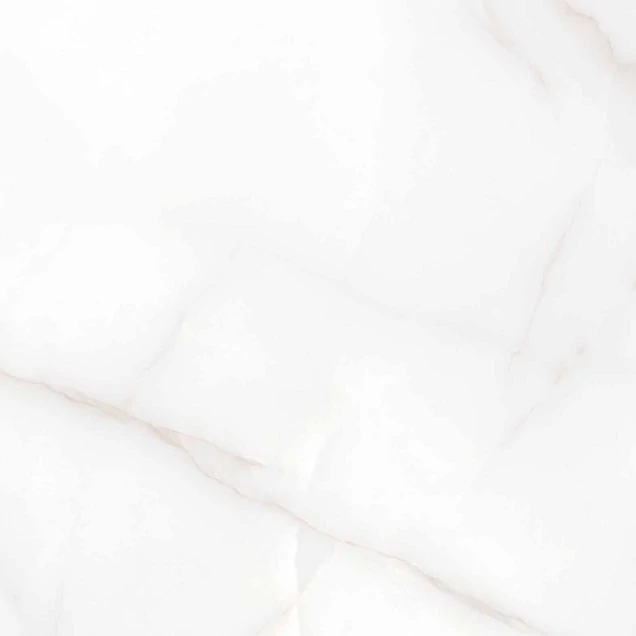 Керамогранит Arcadia Ceramica Feather Onyx 60x60 RT