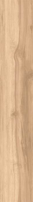 Керамогранит Creanza CW-RT09-B Fossil Wood Brich 20x120 RT