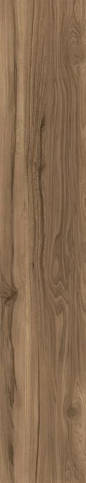 Керамогранит Creanza CW-RT10-B Fossil Wood Wenge 20x120 RT