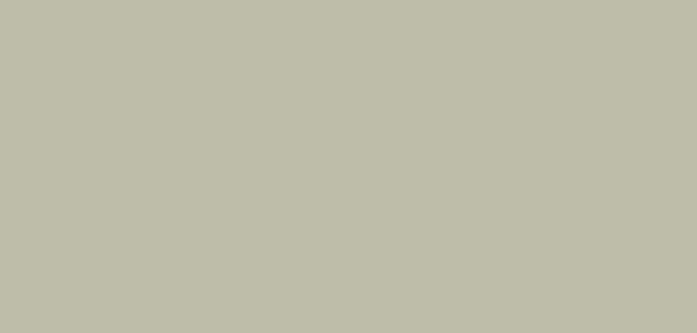 Керамогранит матовый Monocolors ELITE MUSHROOM 60х120 5мм MATT