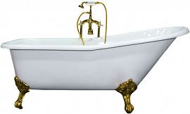 Чугунная ванна Elegansa Schale Gold 170x75
